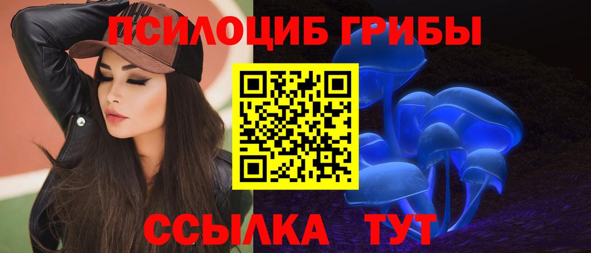 Галлюциногенные грибы мицелий Великий Устюг